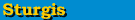 Go To Sturgis Shopping Directory